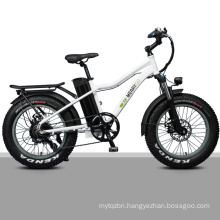 20 Inch Fat Tire Foldable City Electric Bike Rear Motor with Lithium Battery